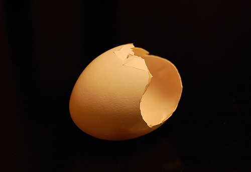 egg-shell.jpg