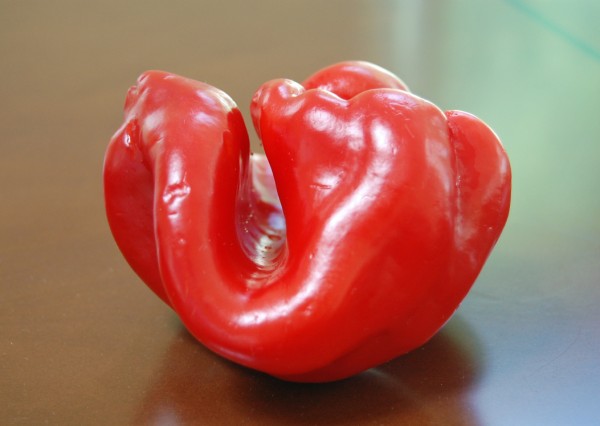 red-pepper-1-600-x-426