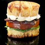 Scallop-BLT-V1-©-2010-Jonathan-Meter