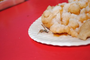 Yummy wasp funnel cake