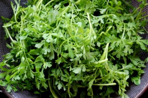 peppercress_1