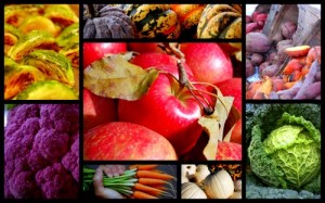 fall recipes