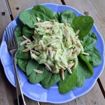 Tangy Avocado Chicken Salad