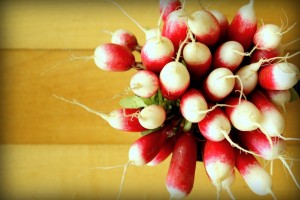 French Breakfast Radishes
